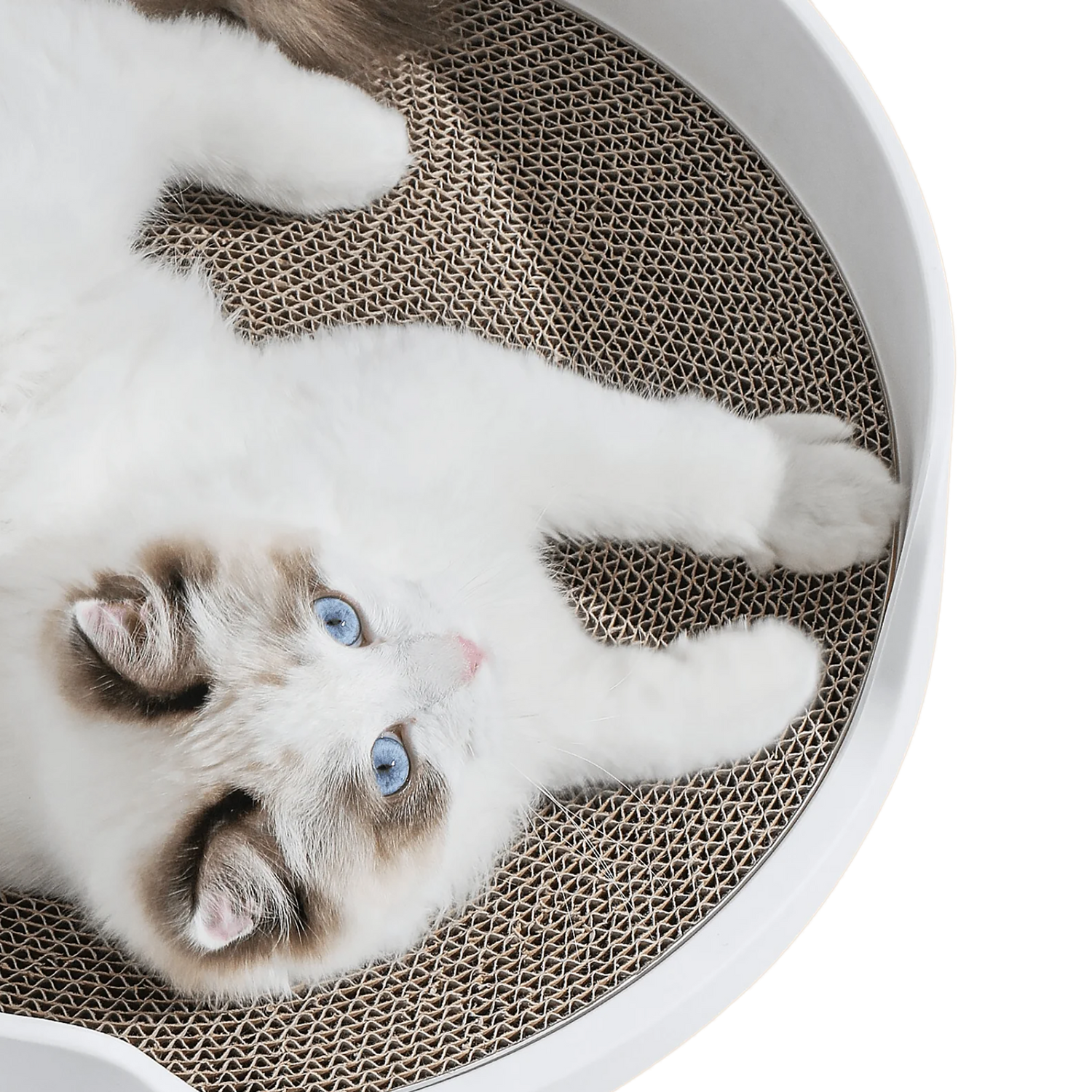 Krabmat voor de Petlux Castle kattenbak