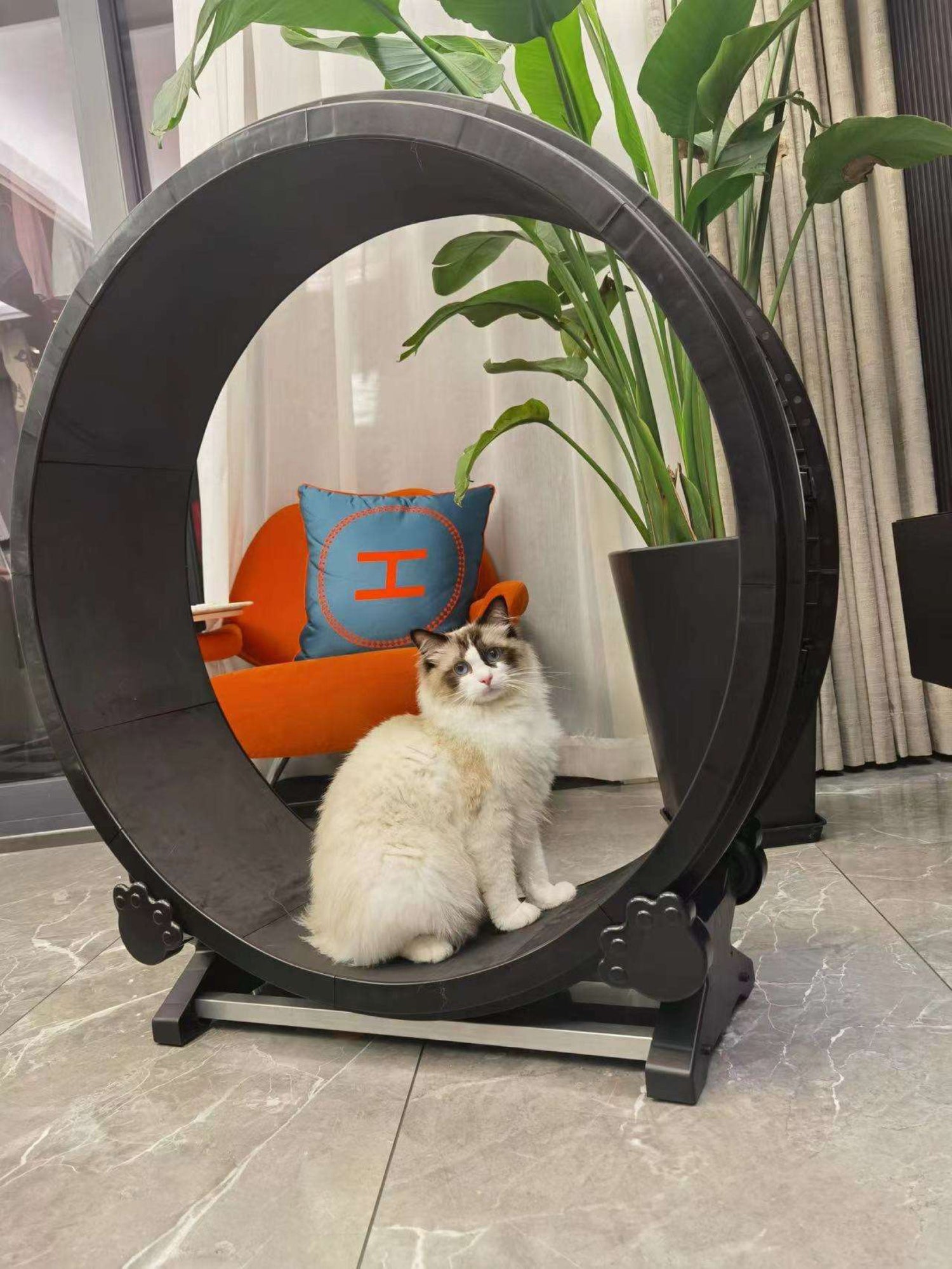 Roue en boucle V1