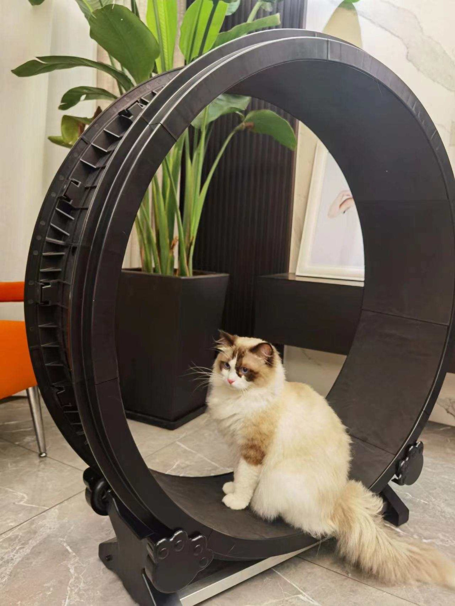 Roue en boucle V1