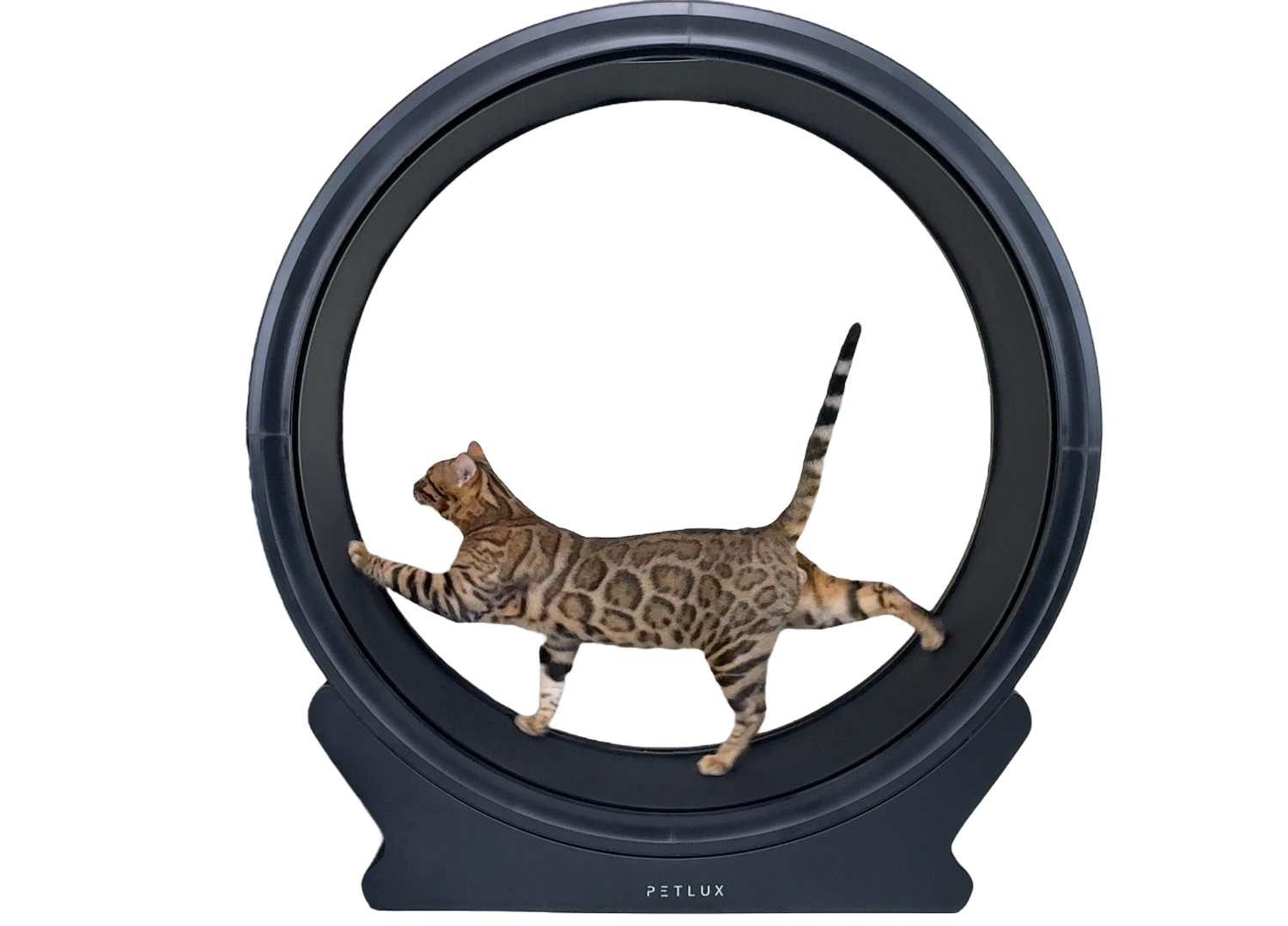 Roue de roulement / roue de roulement pour chat V2