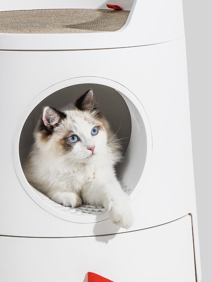 Bac à litière pour chat design Château 2 en 1