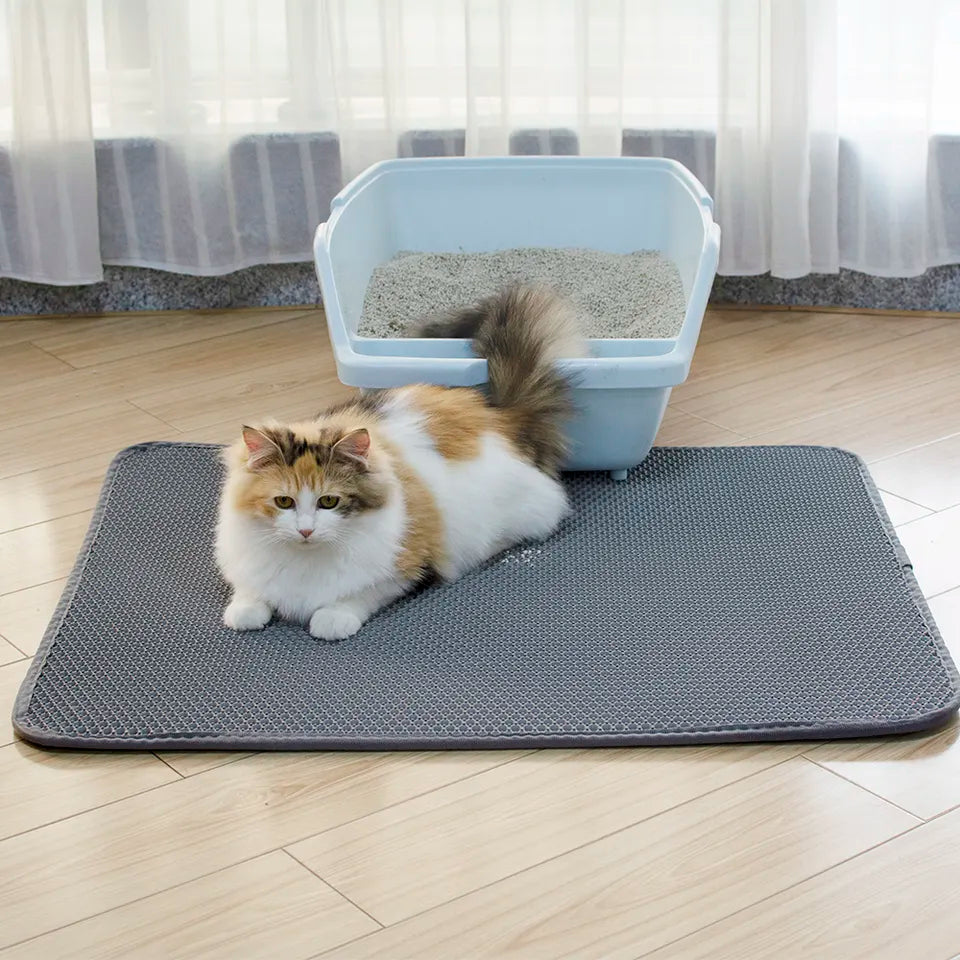 Tapis de sortie-tapis de litière pour chat